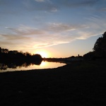 Profile picture of Elizabeth WALTON